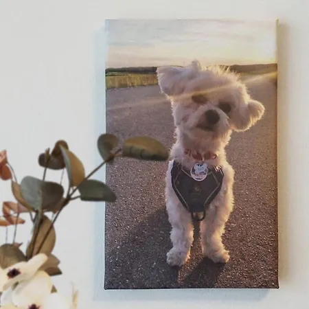 Maltes Ostseekoje Lägenhet